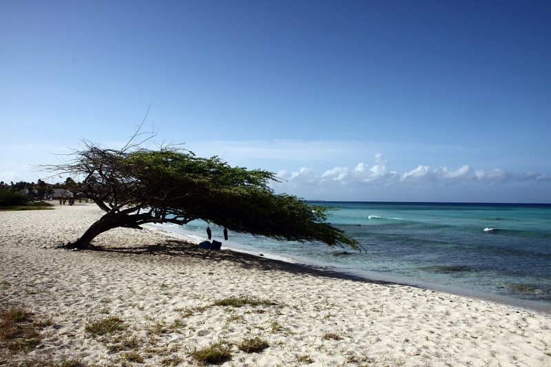 Piccole Antille: i mille Caraibi da sogno